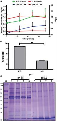 pH Stress Mediated Alteration in Protein Composition and Reduction in Cytotoxic Potential of Gardnerella vaginalis Membrane Vesicles